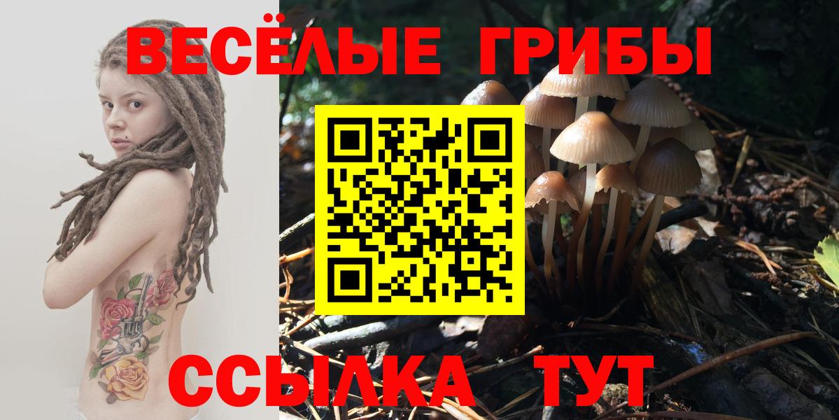 Псилоцибиновые грибы GOLDEN TEACHER  Вход с VPN  Волжск  Галлюциногенные грибы Magic Shrooms 